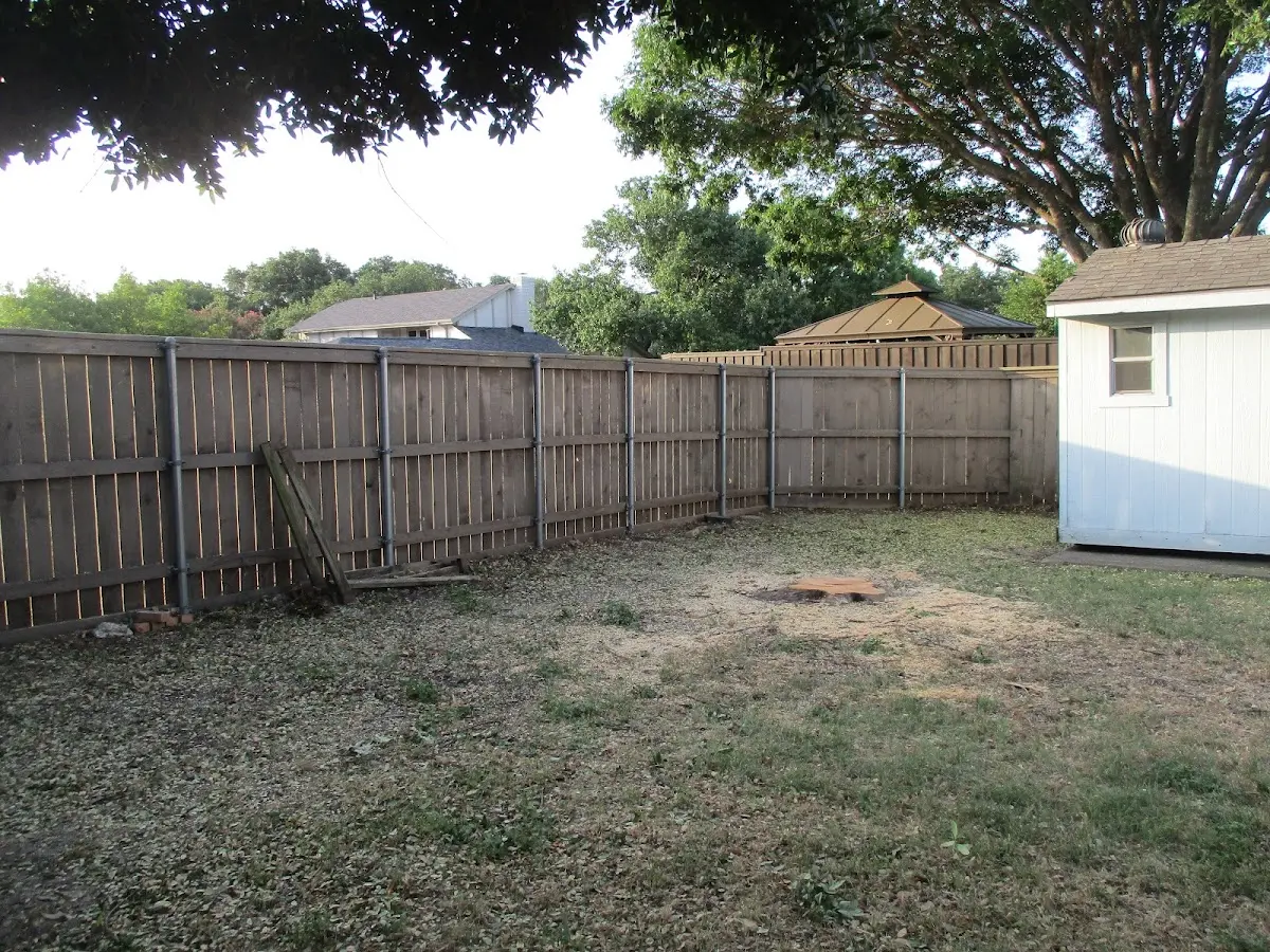 Cleared yard after professional tree removal in Arroyo Hondo